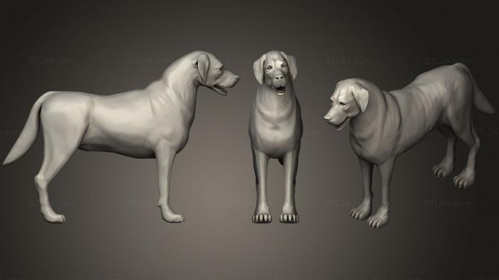 Статуэтки животных (Собака Дворняжка Д, STKJ_0890) 3D модель для ЧПУ станка
